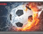 Ремонт телевизора Toshiba 43L5780EC Минск Беларусь